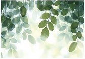 WALLARENA - Fotobehang - 350x250 cm - groene bladeren natuur slaapkamer woonkamer vliesbehang