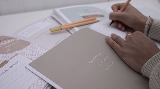 Maan Amsterdam Zwangerschapsdagboek - wekelijks invuldagboek tijdens zwangerschap - negenmaanden dagboek - Eclipse - Unisex