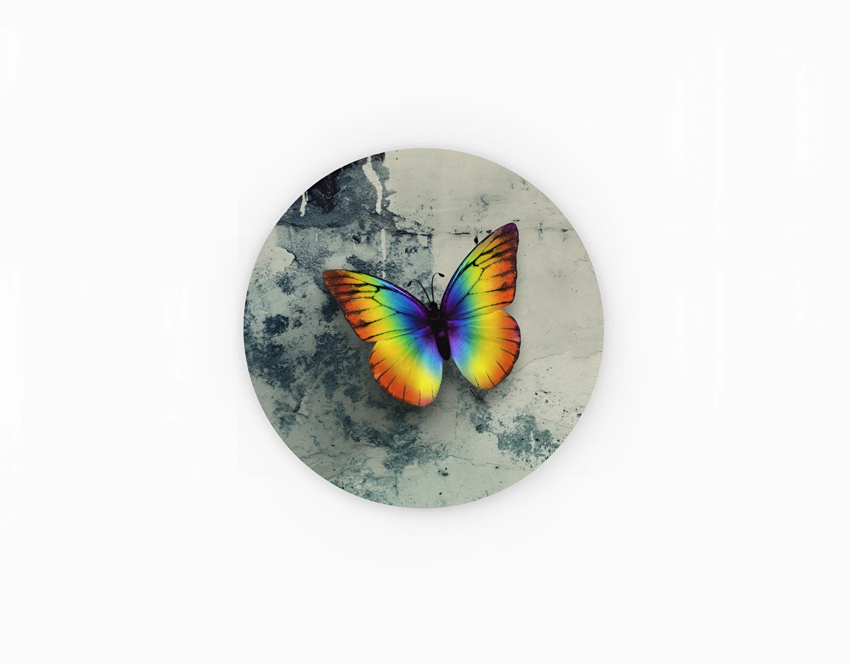 Trendex Global Rond Schilderij - Vlinder Print op Muurcirkel - Wanddecoratie - 80 cm Kleurrijk