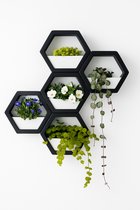 Wand Plantenbakken Set 5 Stuks Modulair & Uitbreidbaar Inclusief Bevestigingsmateriaal Voor Binnen & Buiten Zwart