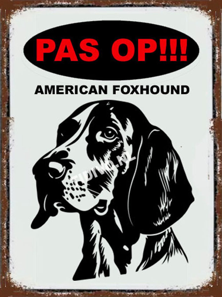 American Foxhound 17