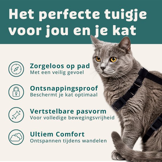 Kattentuigje Met Looplijn Kattenharnas Kittentuigje Kattenriem Met Looplijn Kat Kitten Tuigje Verstelbaar - Zwart