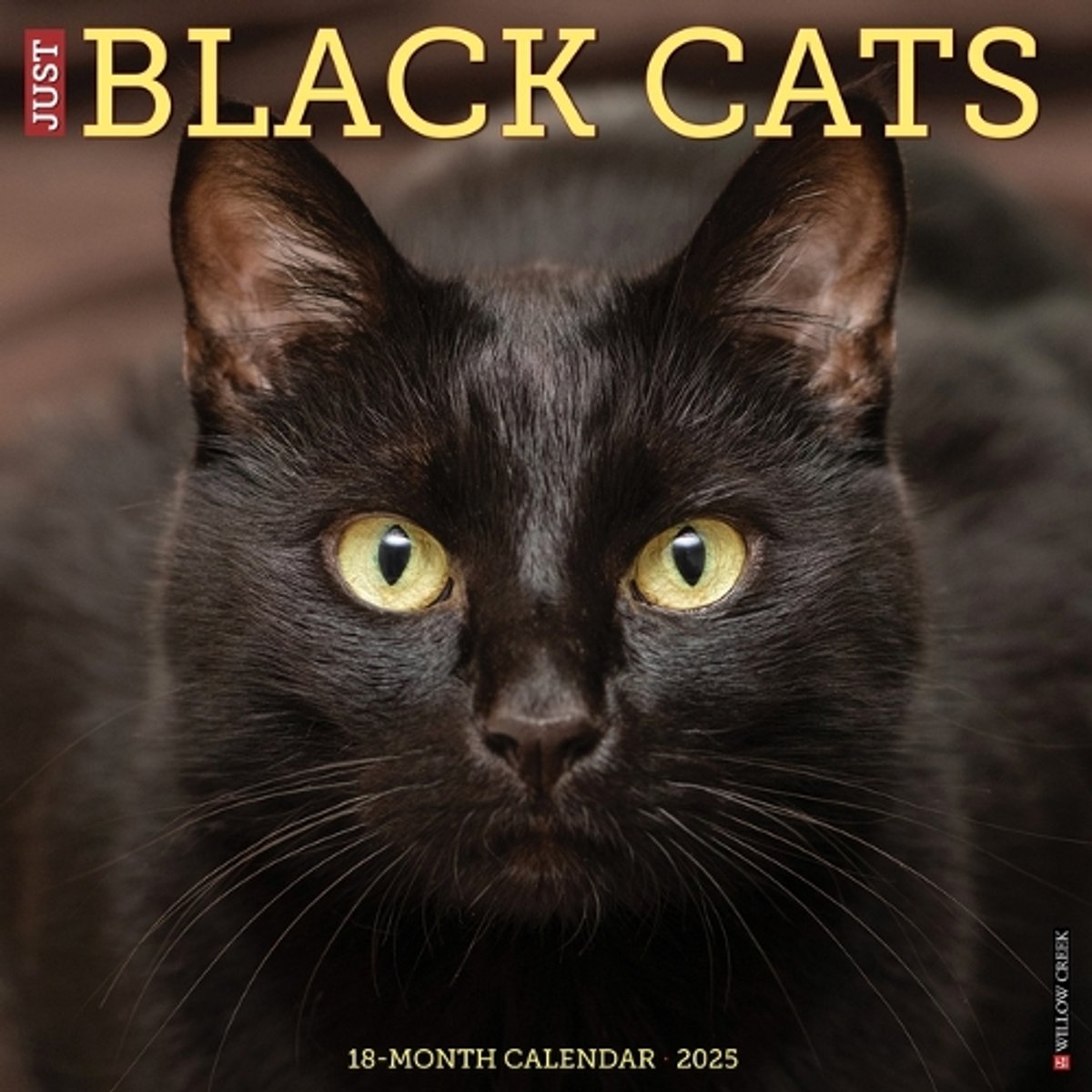 Zwarte Katten Kalender 2026