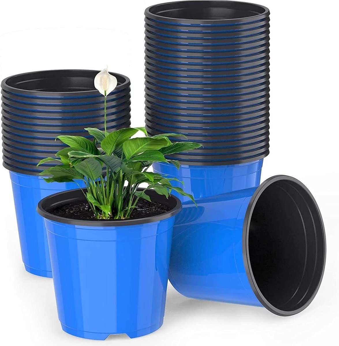 15 cm plastic plantenbloempotten - 50 stuks blauwe lichtgewicht zaadstartpotten - kwekerij zaailingen potten bloem plant container (15 x 13 cm)