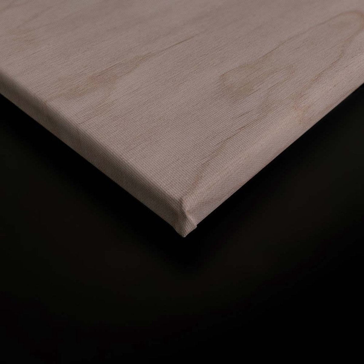 Canvas DD124725 Inlay3 A. S. Création