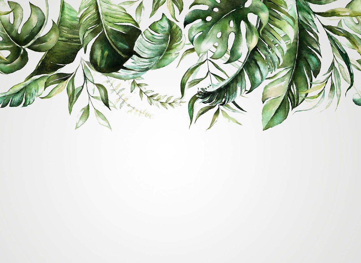 Fototapete Designwalls 2 DD123538 WatercolorLea1
