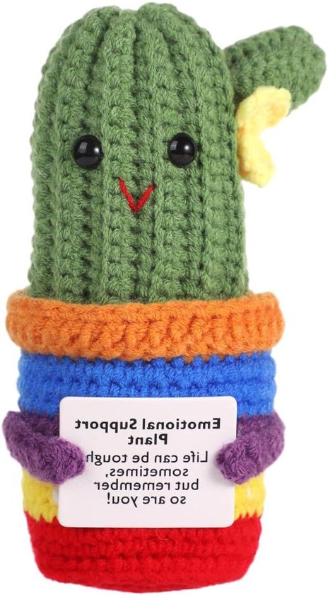 Funny Positieve Cactus 13cm - Gebreide Plantenpop met Aanmoedigingskaart - Feestdecoratie Cinco de Mayo