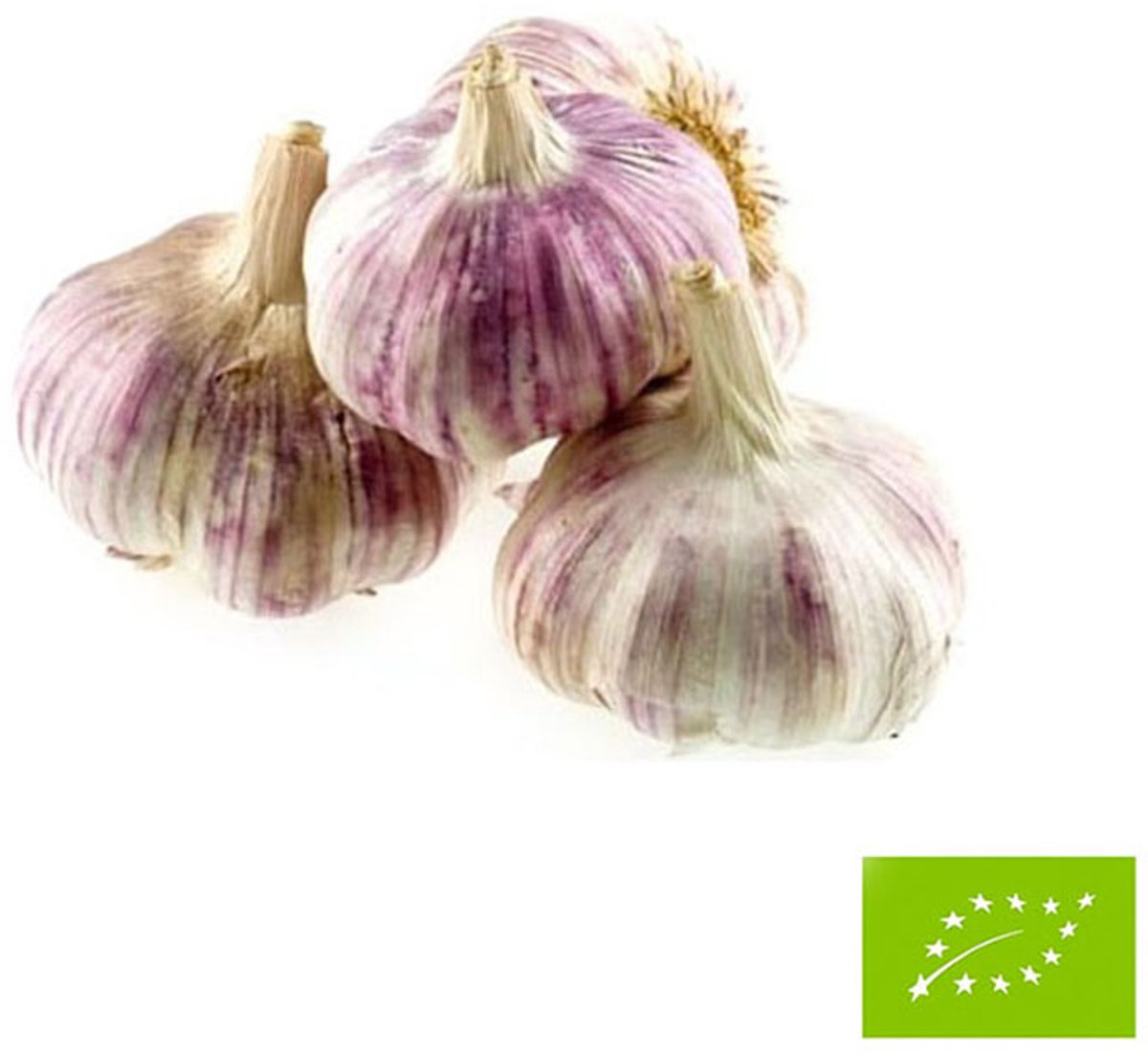 Tuin de Bruijn BIO Plantknoflook Roze/Paars – 3 Bollen
