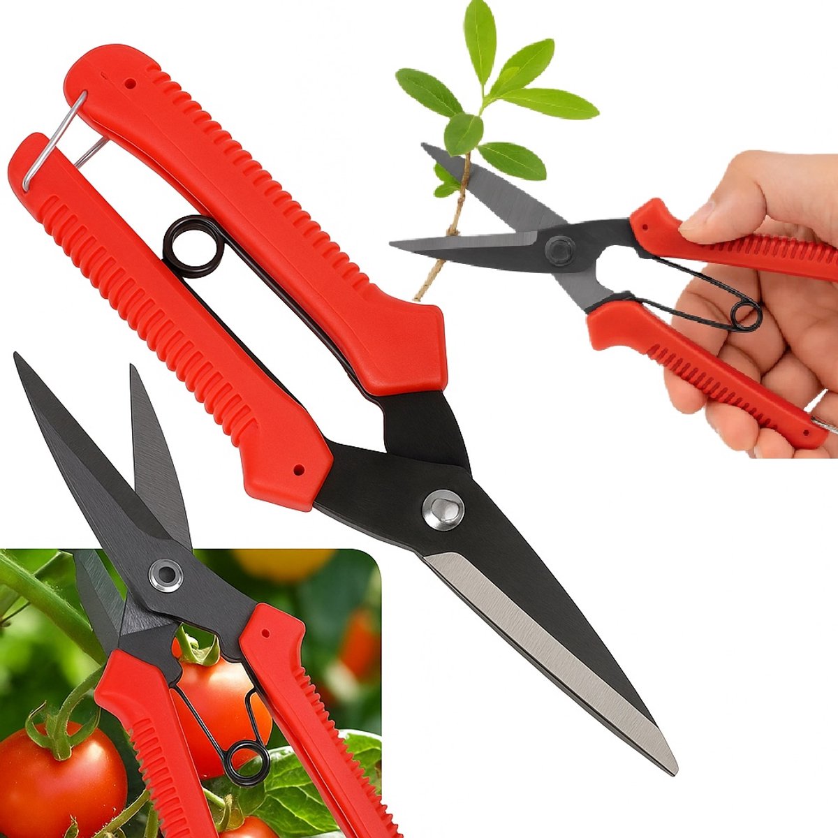 Professionele Handmatige Snoeischaar – 19 cm | Voor Bloemen, Struiken, Gras & Planten | Tuinschaar met Veiligheidsvergrendeling & Ergonomisch Handvat – RoodAfgeronde Puntbladen I RVS/Kunststof I Kleur Assorti