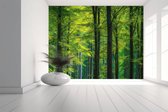 Peel & stick Fotobehang - Enchanted Woodland Escape - 250x150 centimeter