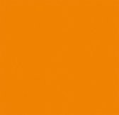 Plakfolie - Kleeffolie - Kleefplastiek - Plakplastiek - 45 cm x 15 meter - Grote rol - Fluo Oranje