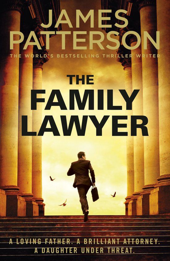 The Family Lawyer - cover