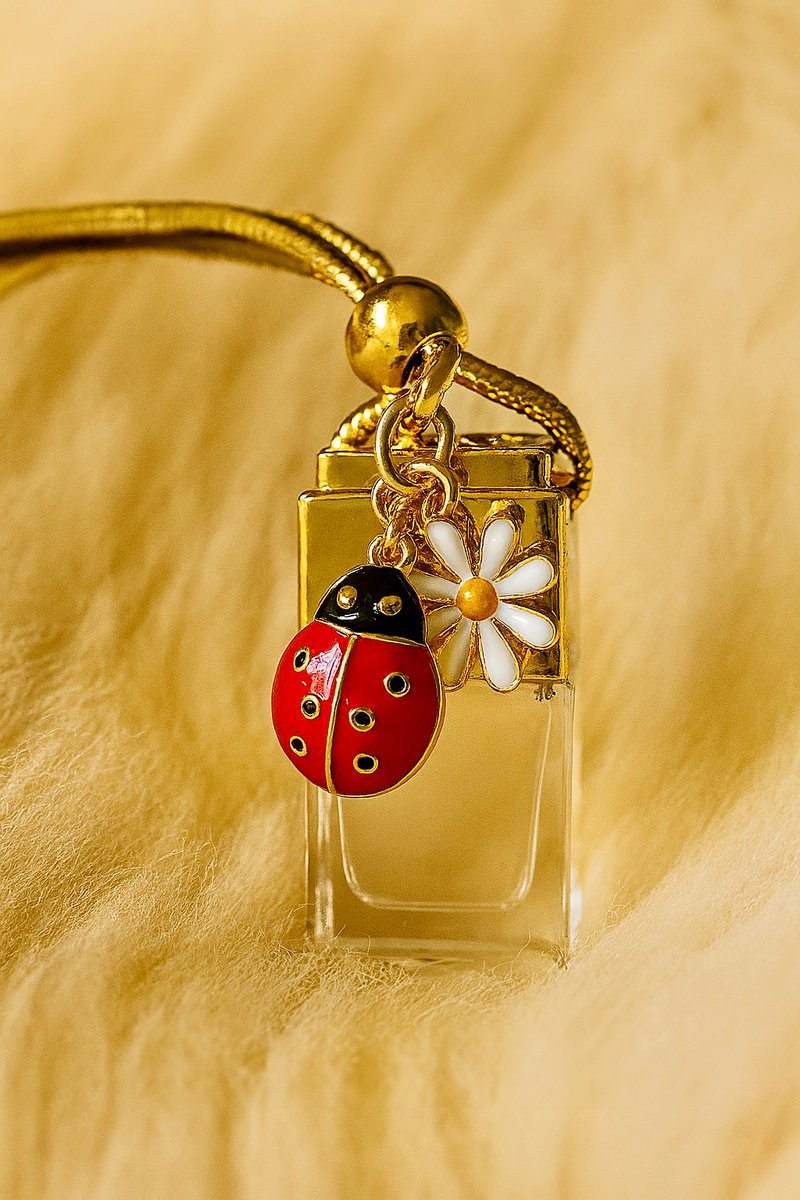 Autoparfum LadyBug - 8ml - met Geluksbrenger - Pocket Hug - Auto Parfum - Nights - 8ml - Traditional Ritual Overseas - Auto parfum - car parfum - Autoverfrisser - Autogeur - Autogeurtje - luchtverfrisser - Cadeau - auto parfum - klein cadeautje