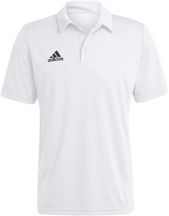 Polo Adidas Sport Ent22 Blanc - Sportswear - Adulte