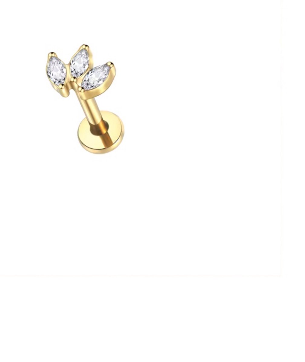 Piercing voor Oor - Kleur: Goud - Formaat: 12 x 6 MM - Titanium - Tragus / Kraakbeen / Helix / Conch - Oorpiercing - Piercing Sieraad - Hoge Kwaliteit - Labret Piercing - Luxe Sieraad - Oorbellen