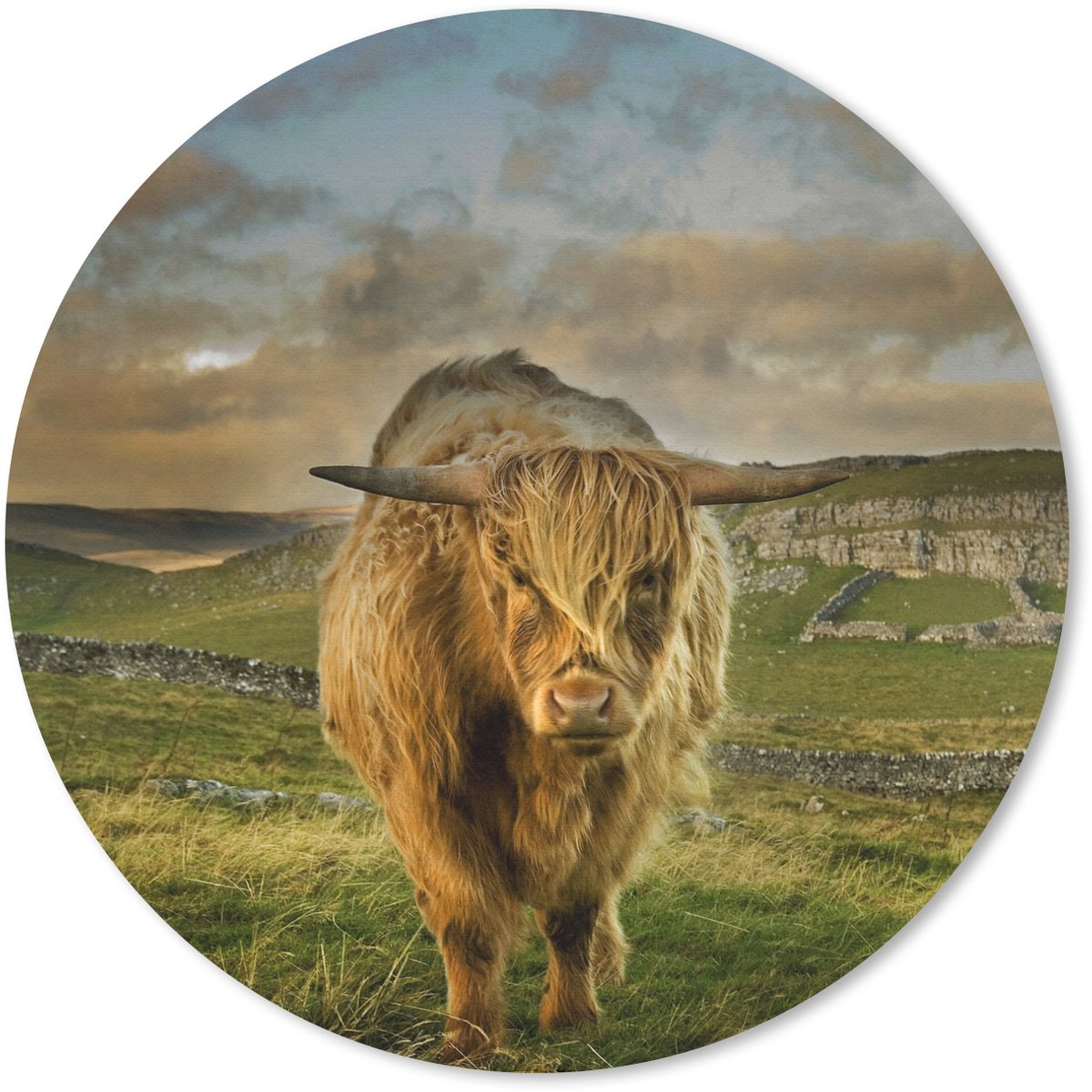 Muismat rond 30x30 cm - Mousepad Schotse Hooglander - Gras - Berg - Ronde muismatten