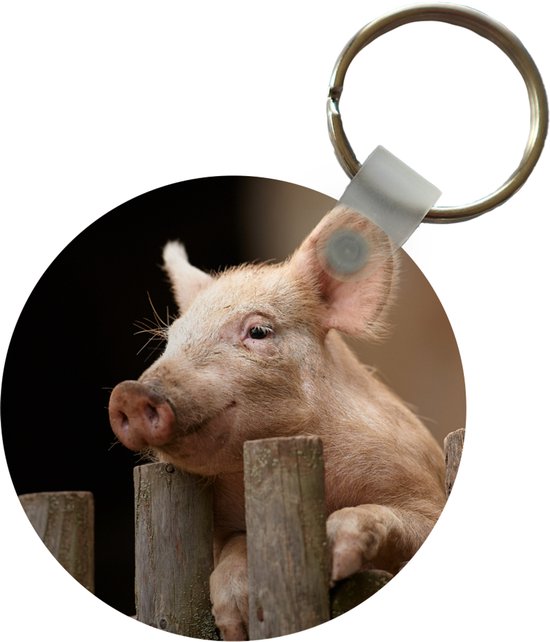 Porte-clés - Cochon - Animal - Clôture - Plastique - Rond - Cadeaux à distribuer
