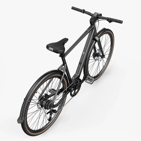 Fiido C21 - Elektrische Fiets - Grijs - L — afbeelding 2