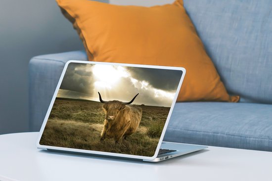 Autocollant pour ordinateur portable - 10,1 pouces - Highlander écossais - Soleil - Animaux - 25x18cm - Autocollants pour ordinateur portable - Peau pour ordinateur portable - Couverture