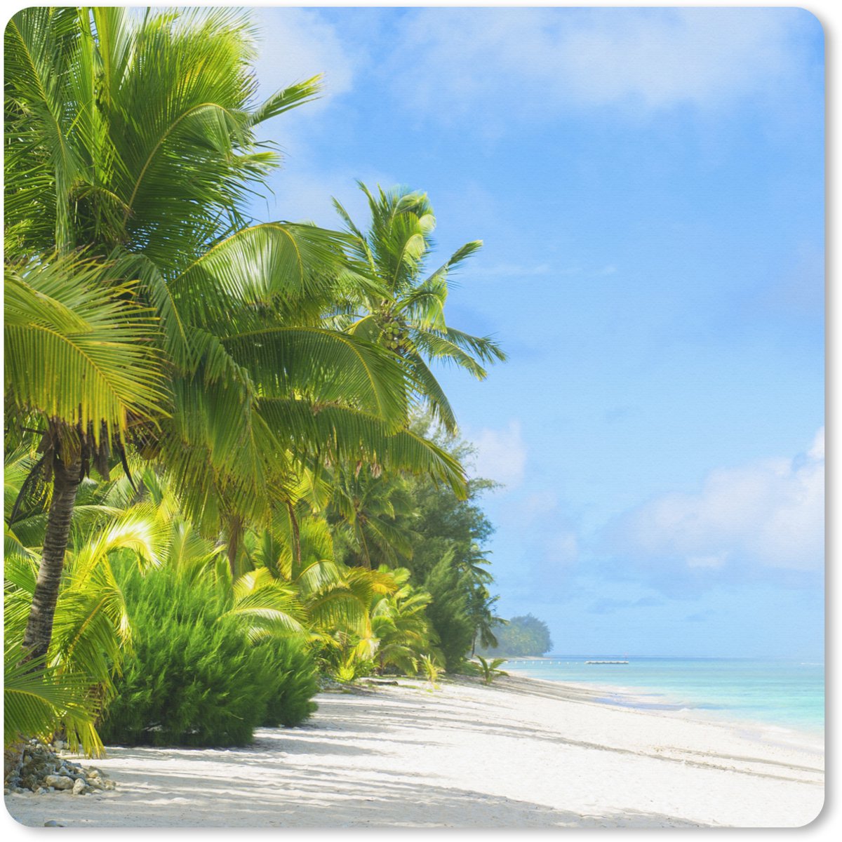 Muismat XXL 50x50 cm - Bureau onderlegger - Bureau mat Palmboom - Tropisch - Eiland - Bureaumat - Gaming mousepad xl - Bureaulegger groot - Computer deskmat