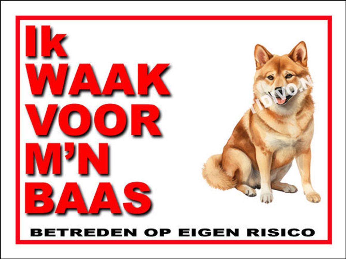 Shiba 9