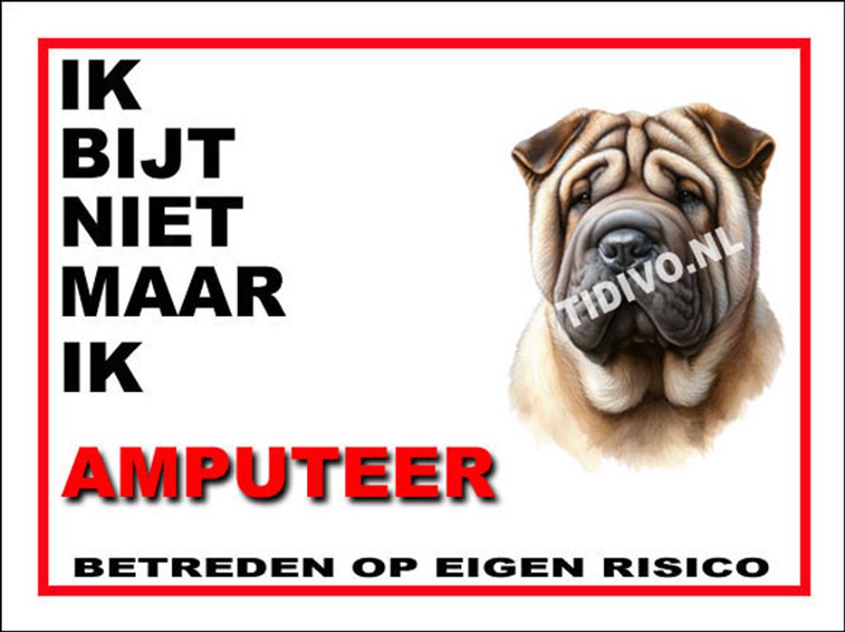 Shar-Pei 5
