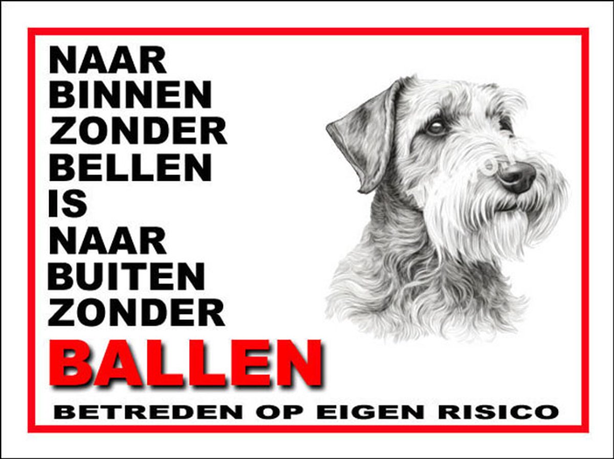 Sealyham Terrier 11
