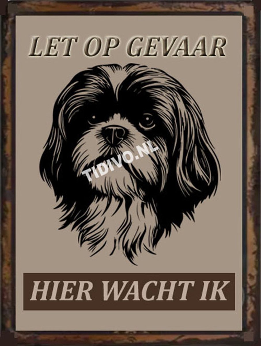 Shih Tzu 18
