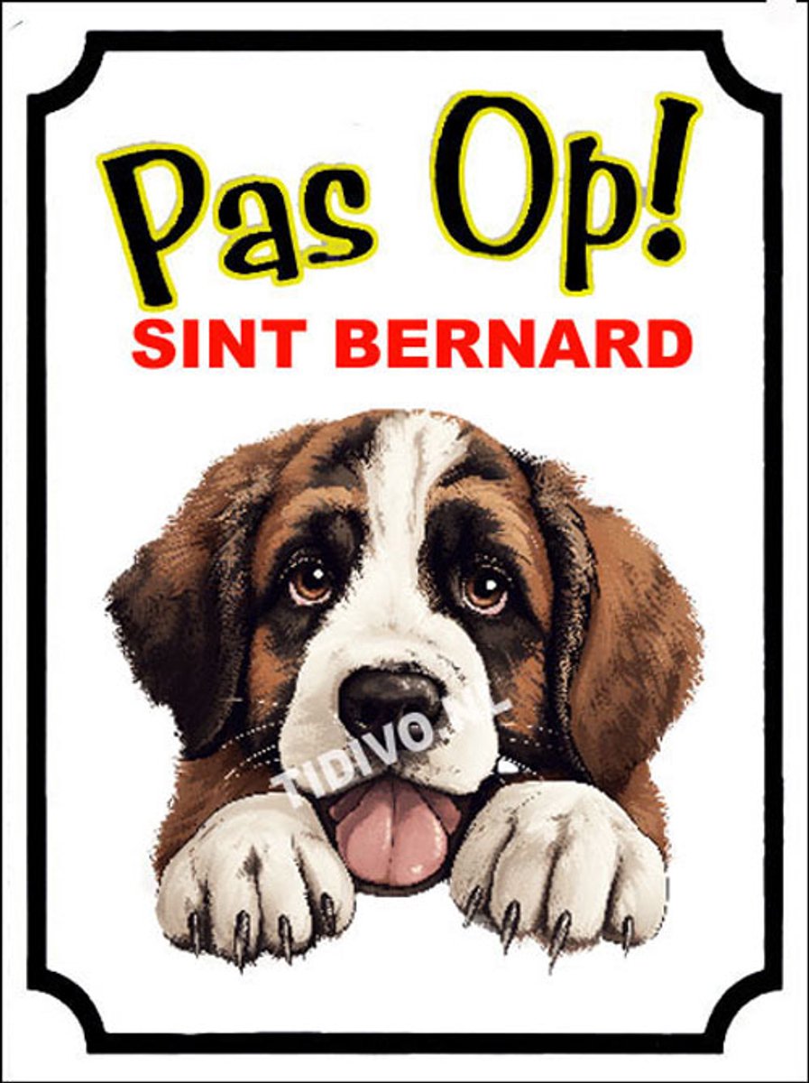 Sint Bernard 16