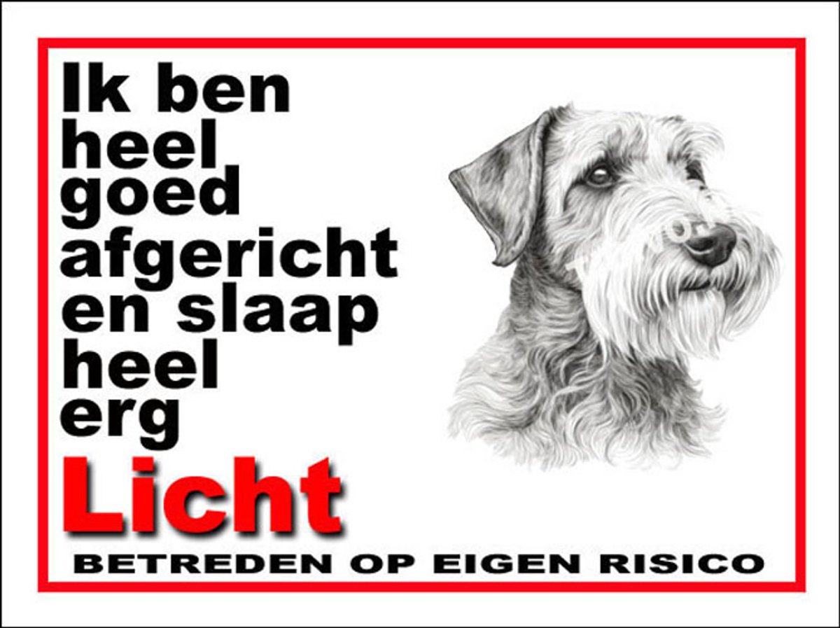 Sealyham Terrier 4