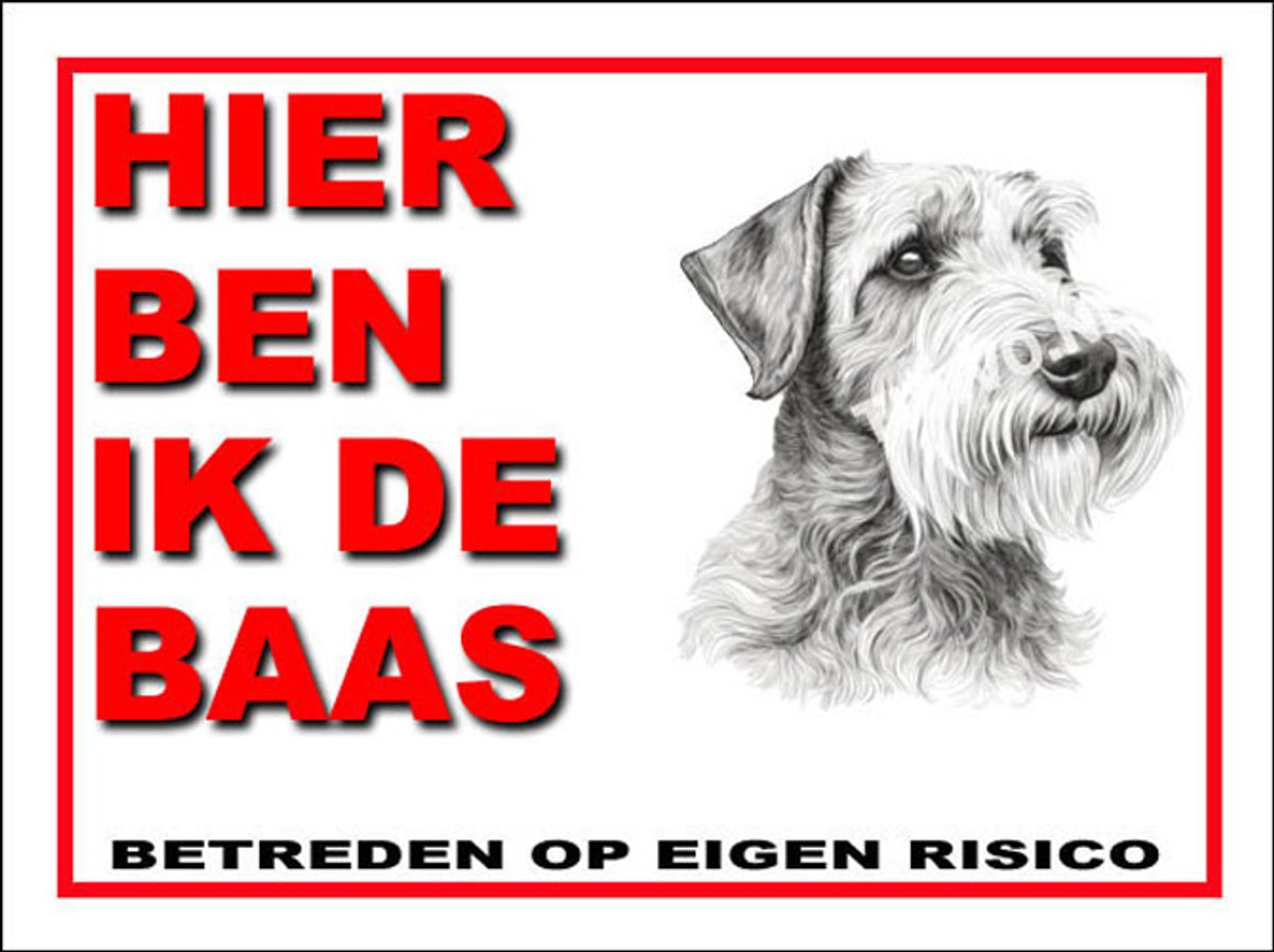 Sealyham Terrier 2