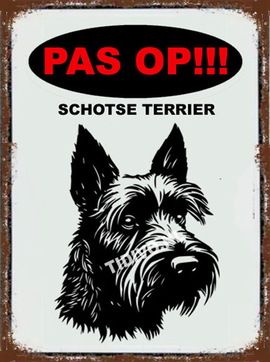 Schotsche Terrier 17