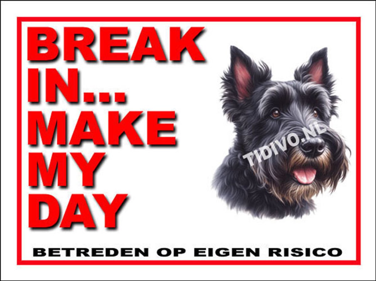 Schotsche Terrier 1