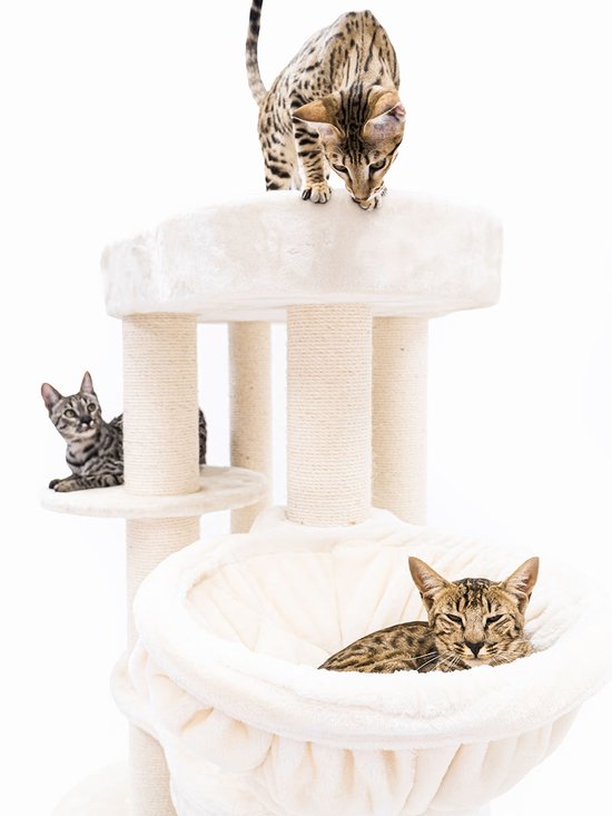 Arbre à chat Petrebels Isabella 170 Design - Crème - Qualité Premium - Arbre à chat XXL pour grands chats