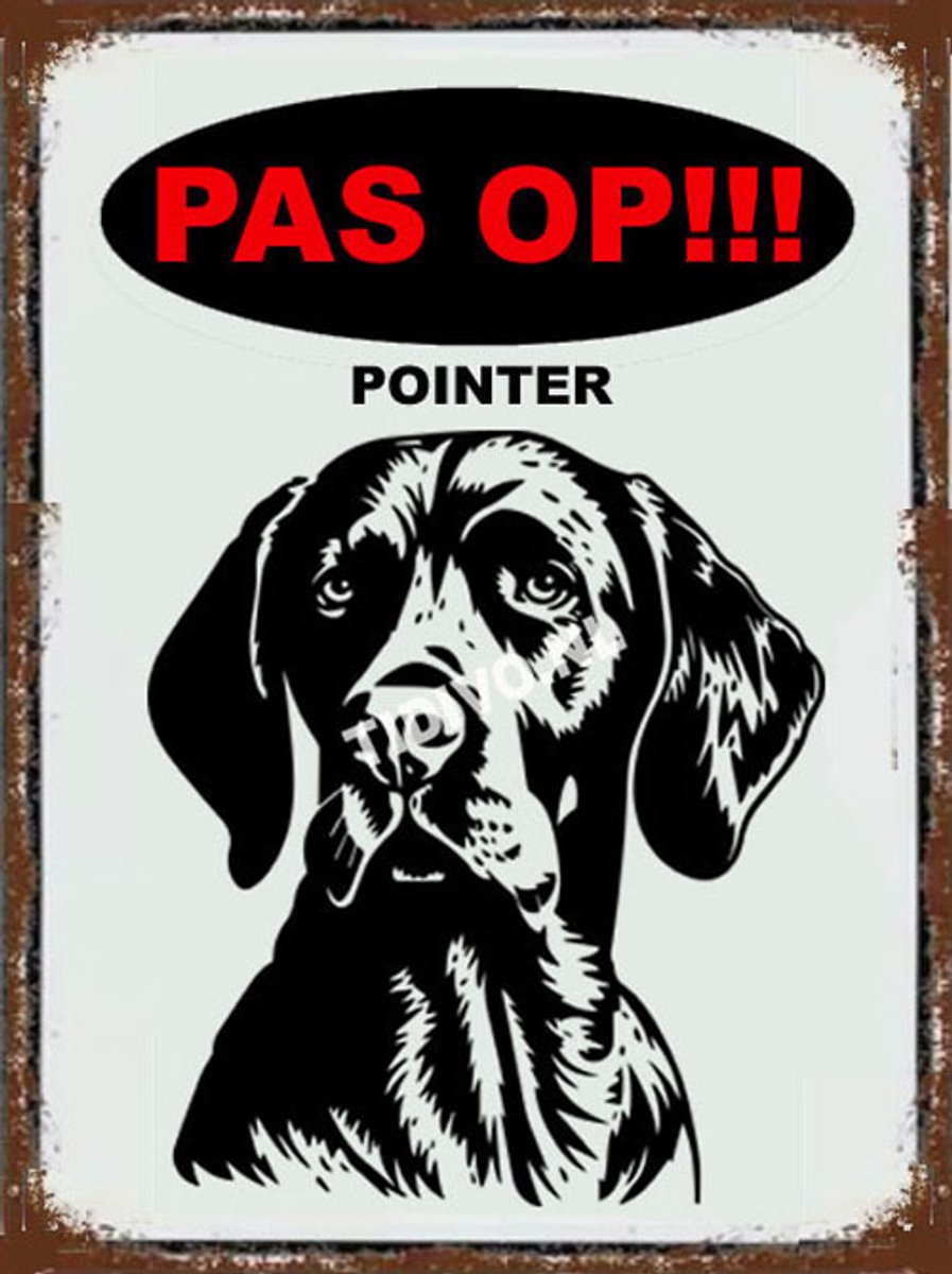 Pointer 17