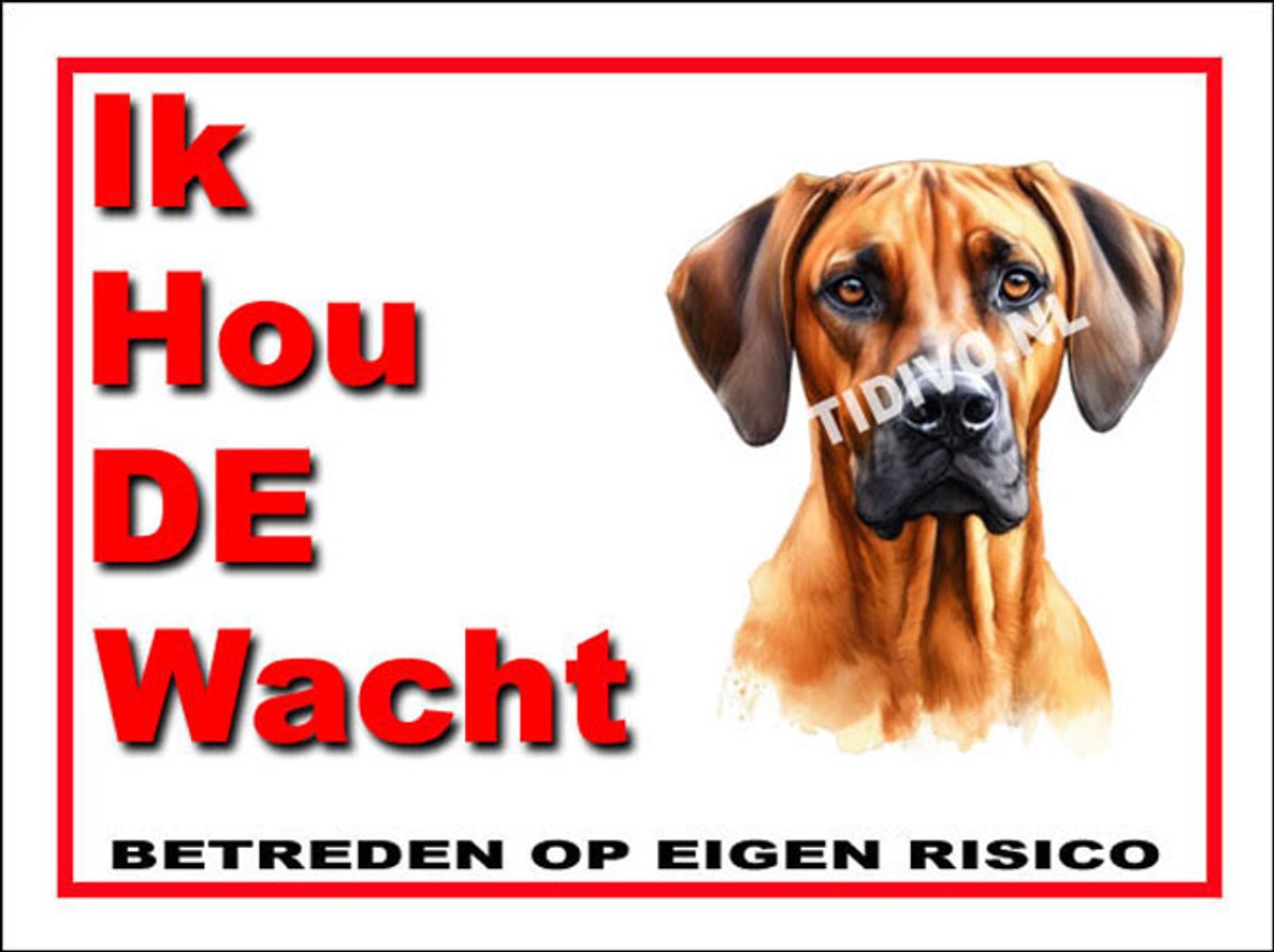 Rhodesian Ridgeback 7