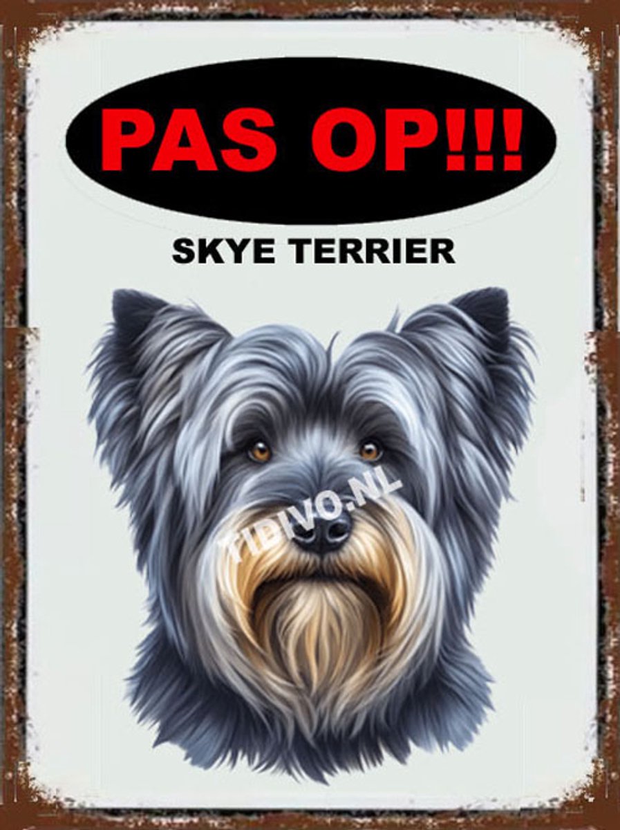 Skye Terrier 17