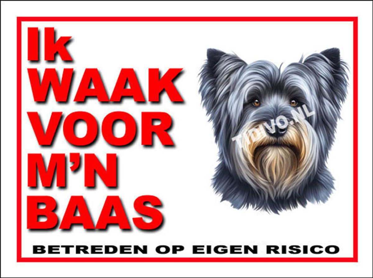 Skye Terrier 9