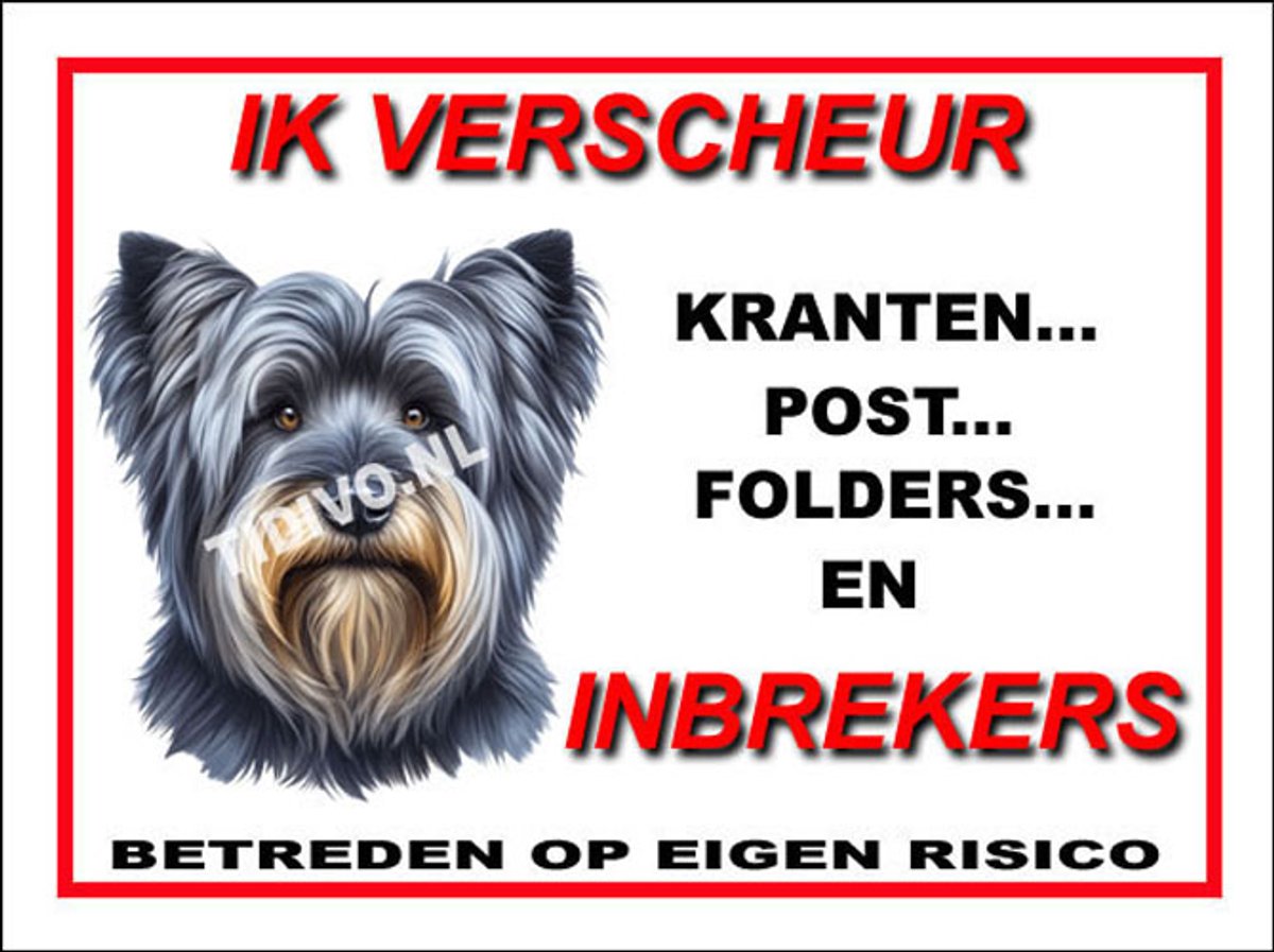 Skye Terrier 8