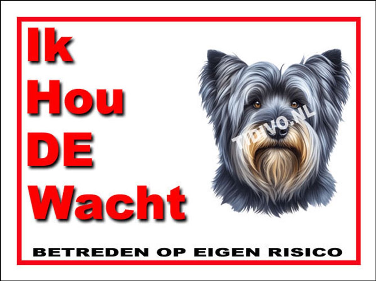 Skye Terrier 7