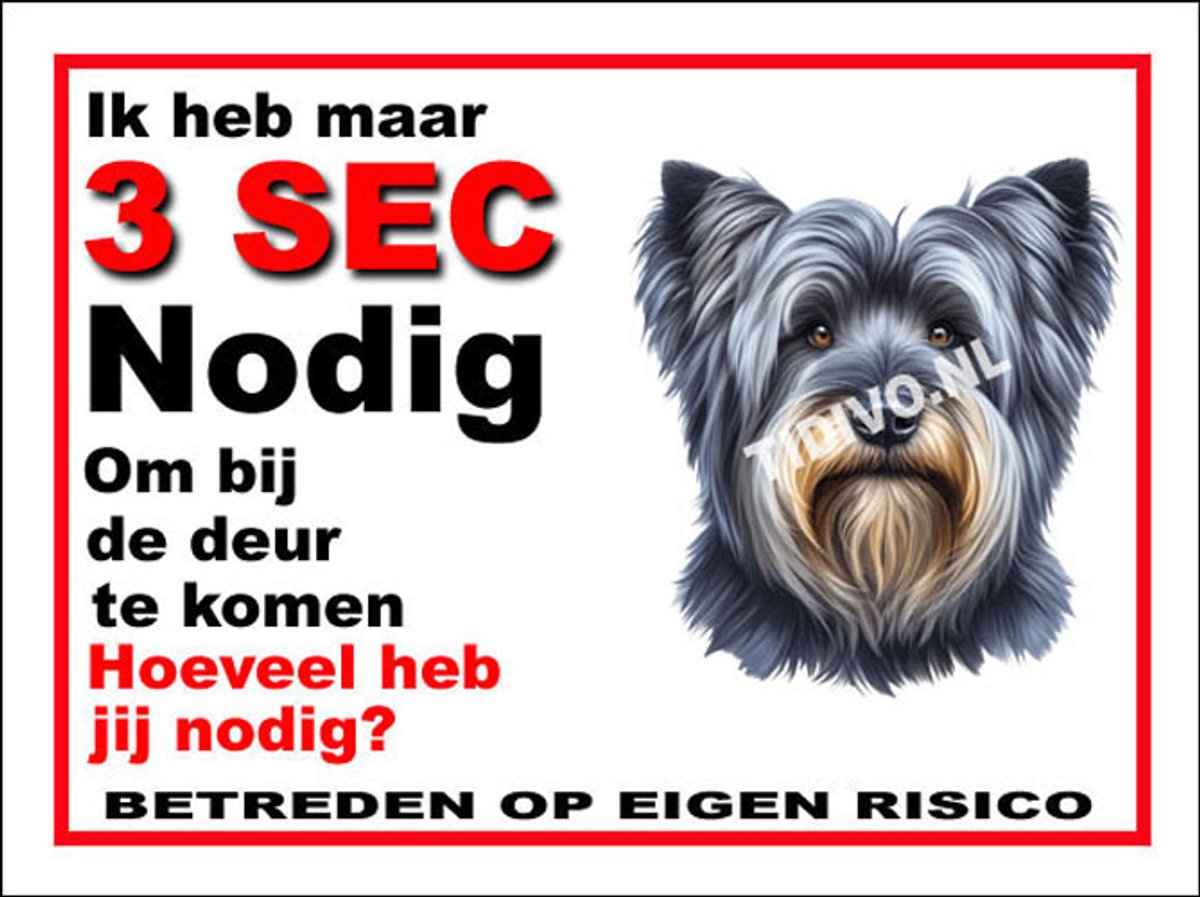 Skye Terrier 6
