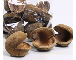 Cocos pod 6-8 cm is een natuurlijke schuilpod voor een rustig en natuurlijk aquarium. Ontwikkeld voor garnalen en kreeften en ideaal voor schuilplekken, foerageren en aquascaping. Dankzij het ruwe oppervlak hechten mossen en planten ma