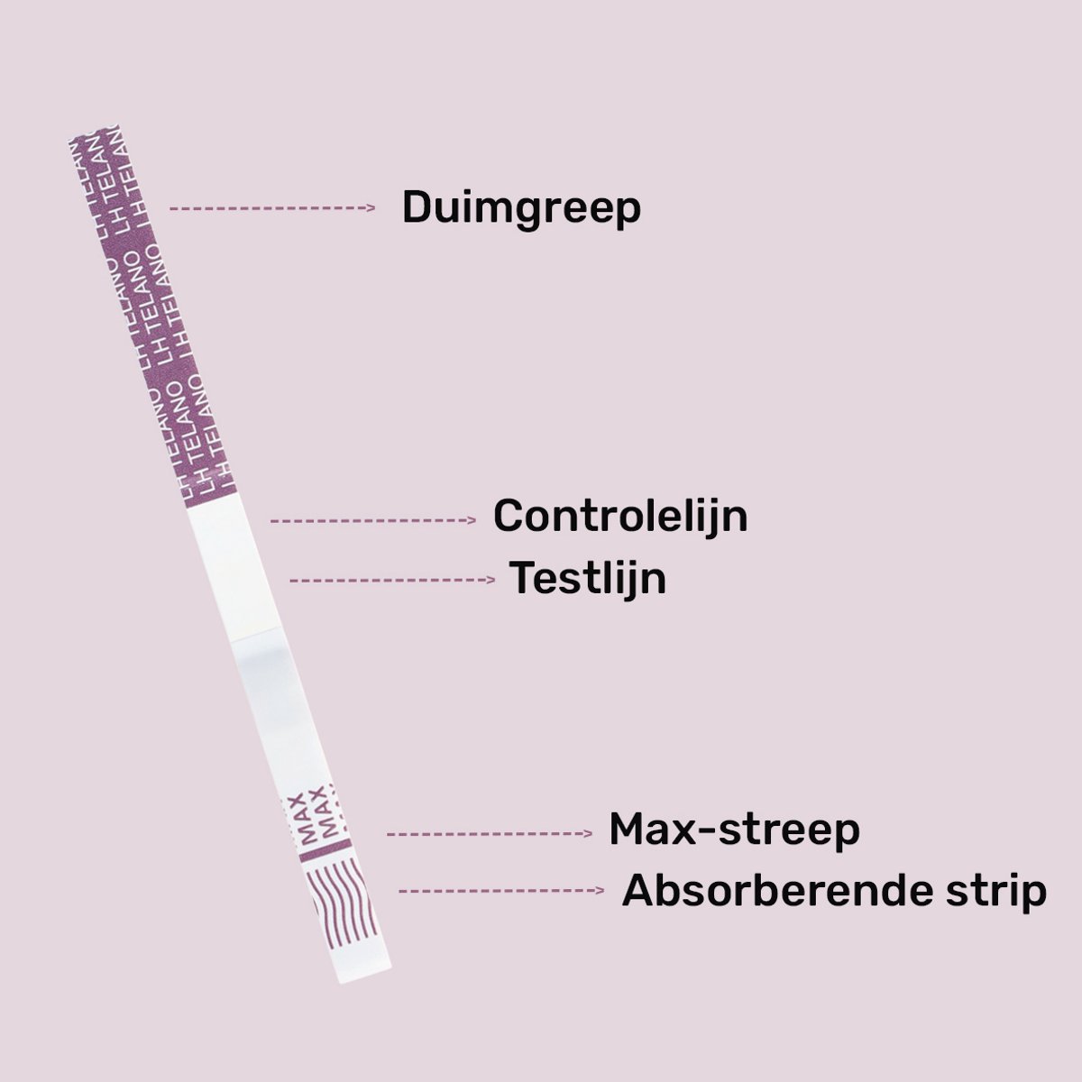 Telano Ovulatietest Premium 10 stuks Dipstick - Ovulatiekalender - Extra Brede Strip van 5 mm - Vergroot je kans op Zwangerschap - Ovulatietesten Strip – foto 6