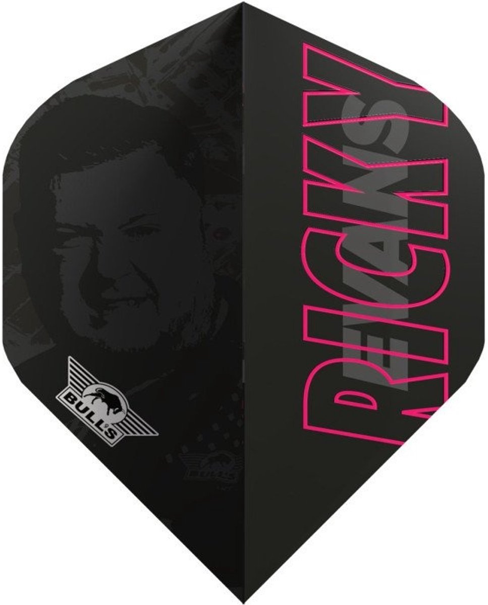 Bull's Ricky Evans 80 E2 NO2 - Dart Flights