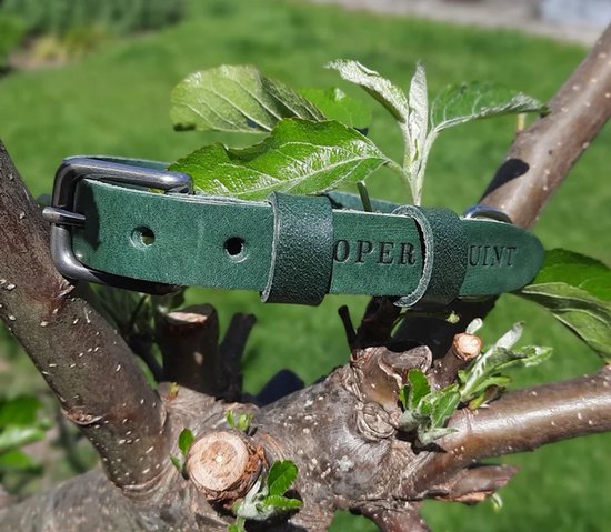 Donkergroene leren halsband van Cooper & Quint met gesp en ring, om een tak met frisgroene bladeren.