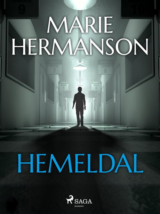 Hemeldal - cover