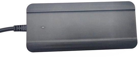 Fietslader voor Sparta, Batavus Ego, Cortina Ecomo en Phylion accu's - BikeJuice Ebike - 36V - 2A - 5-polig — afbeelding 4