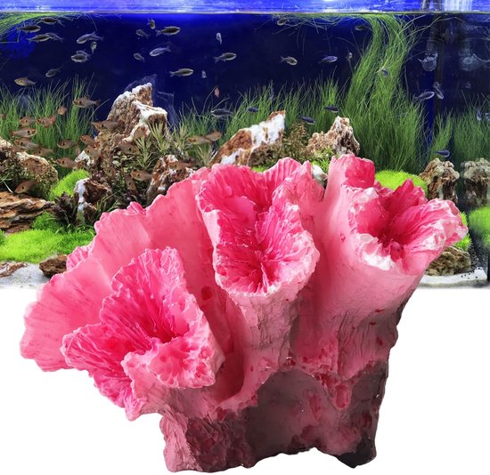 Nobleza aquariuminrichting koraal anemoon