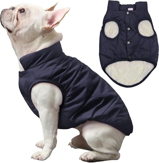 Donkerblauwe, gewatteerde hondenjas, met een zachte crèmekleurige voering. Getoond op een witte buldog.