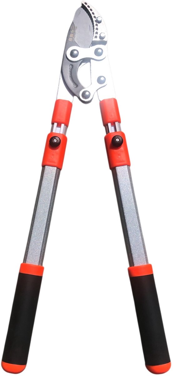 Dutchlander Telescopische aambeeld-takkenschaar 65-98 cm softgrip